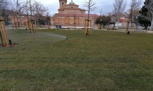 El Ayuntamiento limitará la suelta de perros en zonas verdes con áreas de esparcimiento canino