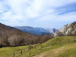 Diputación activa una campaña para recordar que los perros deben ir atados en los parques naturales de Bizkaia