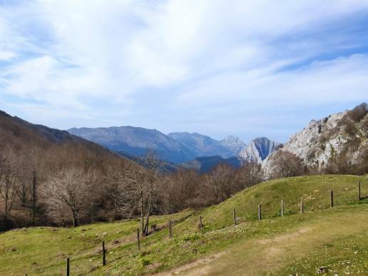 Diputación activa una campaña para recordar que los perros deben ir atados en los parques naturales de Bizkaia