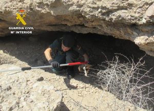  Guardia Civil rescata a varios cachorros con síntomas de desnutrición en una zona abrupta de Santomera