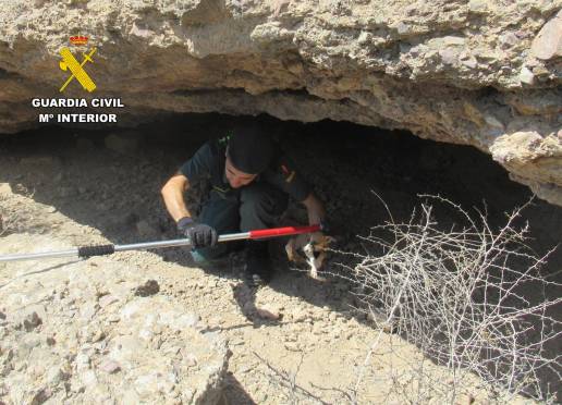  Guardia Civil rescata a varios cachorros con síntomas de desnutrición en una zona abrupta de Santomera