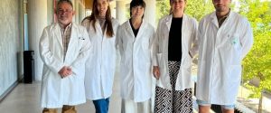 La UEx investiga alternativas al uso de antibióticos en la ganadería equina para el tratamiento de la endometritis
