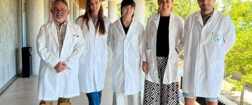 La UEx investiga alternativas al uso de antibióticos en la ganadería equina para el tratamiento de la endometritis