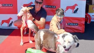 Purina y Tu Trébol organizan emblemático desfile solidario para promover la adopción responsable de mascotas en Tenerife