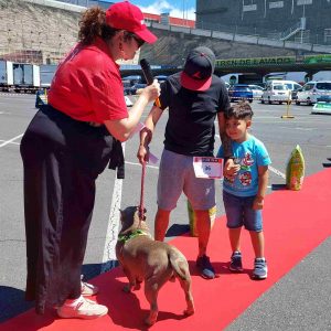 Purina y Tu Trébol organizan emblemático desfile solidario para promover la adopción responsable de mascotas en Tenerife