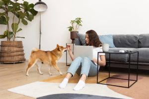 La vuelta a la rutina afecta a nuestras mascotas: aumentan los casos de ansiedad por separación tras las vacaciones