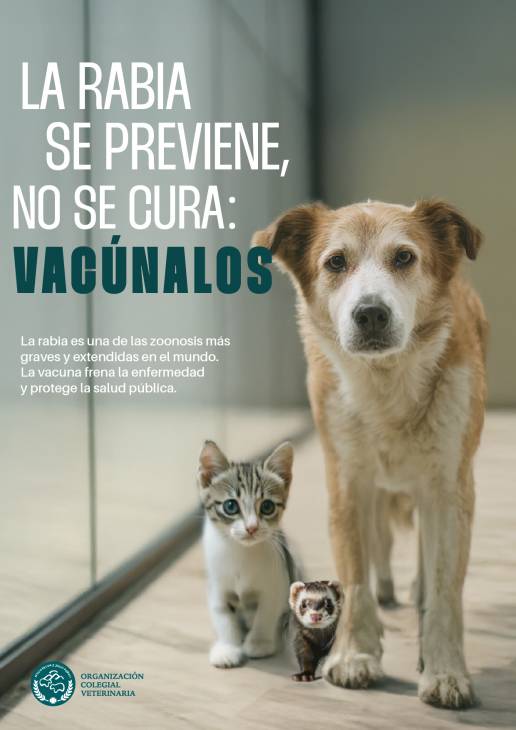 La OCV reclama que la vacunación anual frente a la rabia sea obligatoria en todo el territorio nacional