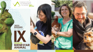 El periodista Máxim Huerta, el caballo terapeuta ‘Duque´y el proyecto Pazo de Vilane, premios Bienestar Animal del Colegio de Veterinarios de Madrid en su IX edición