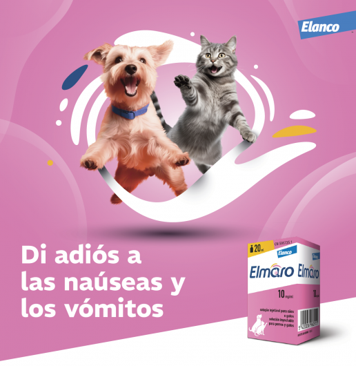 Elanco lanza en España Elmaro, nuevo genérico de maropitant para la prevención y tratamiento de náuseas y vómitos en perros y gatos