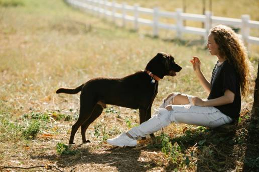 Las adopciones de animales en protectoras aumentaron en 2024 un 11% respecto al año anterior