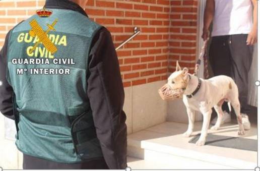 Investigan al dueño de un perro potencialmente peligroso que atacó y mató a otro en Alaejos (Valladolid)