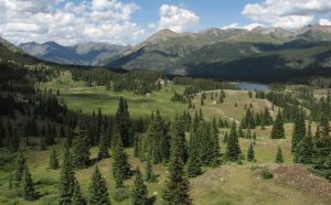 Los insectos disminuyen a ritmo alarmante incluso en paisajes intactos