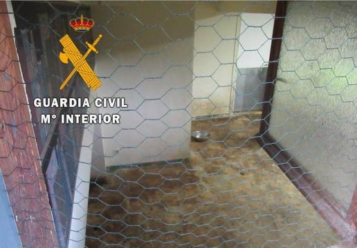 Clausurada una residencia de animales de compañía que operaba sin licencia en la Cuenca de Pamplona