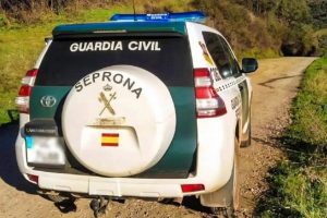 Investigan a las dueñas de dos perros que atacaron a otro y provocaron heridas a dos personas en Mojados