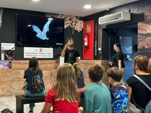 La Cueva de Nerja acerca a visitantes los beneficios de los murciélagos y desterrar falsos mitos