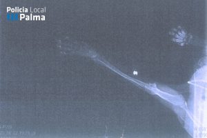 Investigado en Palma por disparar a un gato con una escopeta perdigones y dejarlo malherido