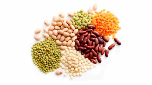 ¿Son más saludables los alimentos sin cereales para perros y gatos?