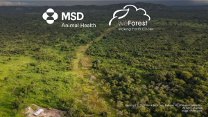 MSD Animal Health y WeForest celebran 10 años comprometidos con la creación de impacto, plantando más de 297 mil árboles en tres continentes