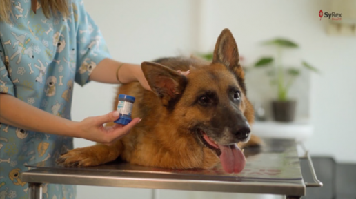 CBD Transdérmico: una nueva e innovadora aplicación terapéutica que ayuda a mejorar la vida de nuestros pacientes