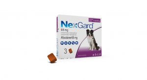 NexGard® y NexGard SPECTRA® refuerzan la protección antiparasitaria en perros con eficacia demostrada frente a babesiosis y dipilidiosis