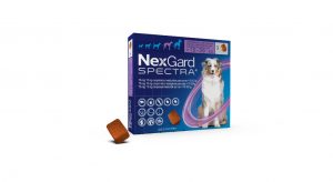NexGard® y NexGard SPECTRA® refuerzan la protección antiparasitaria en perros con eficacia demostrada frente a babesiosis y dipilidiosis