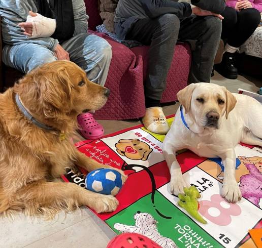 El impacto del vínculo humano-animal: Cómo los perros de  terapia están transformando la salud mental en los hospitales  españoles