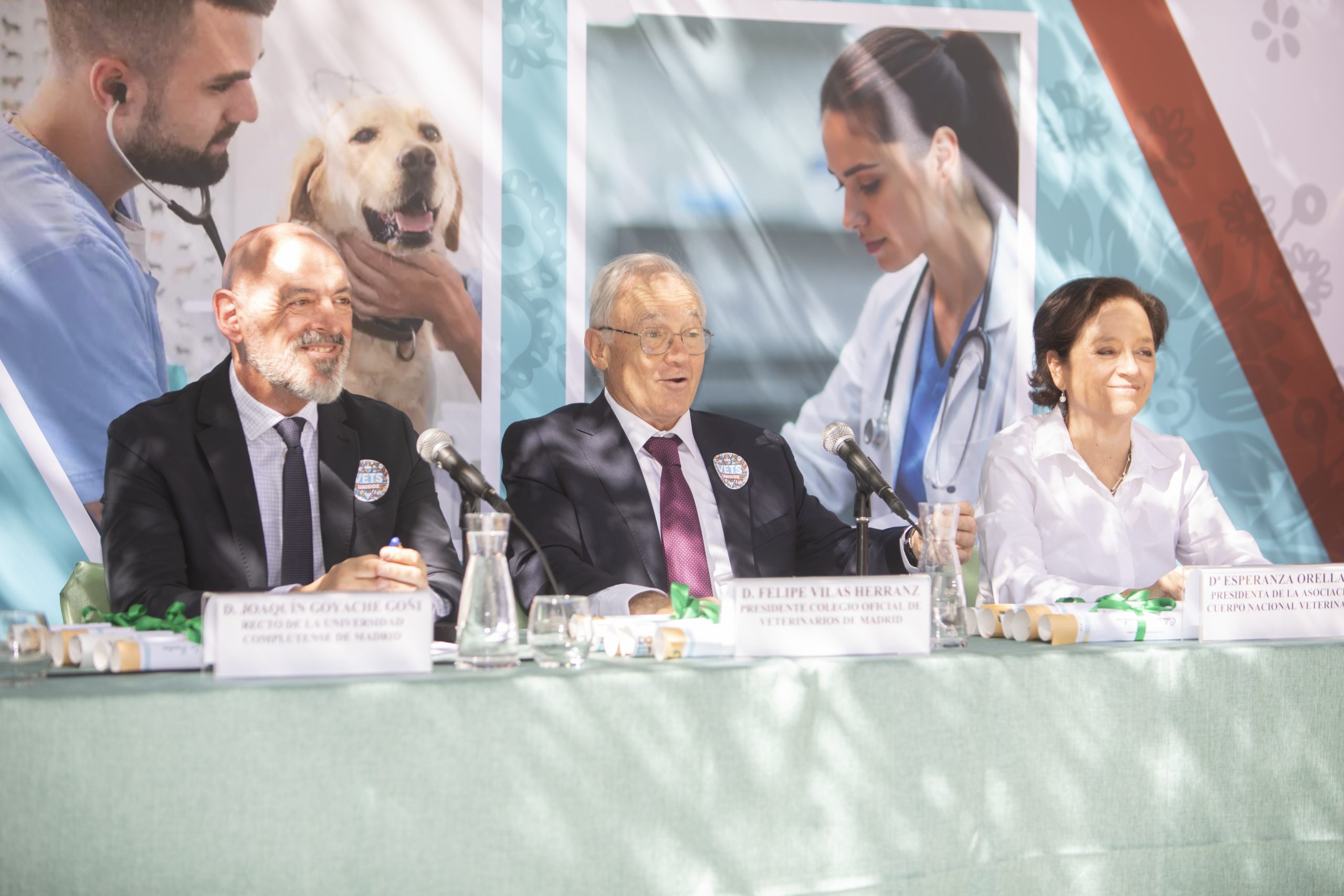 San Francisco de Asís: FELICIDADES VETERINARI@S