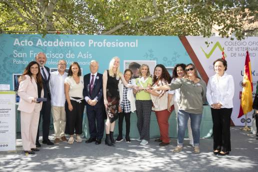 San Francisco de Asís: FELICIDADES VETERINARI@S