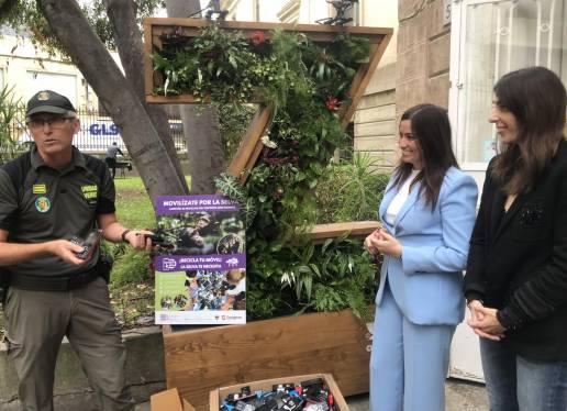 Zaragoza apadrina 13 chimpancés del Instituto Jane Goodall tras recoger 400 móviles para reciclar