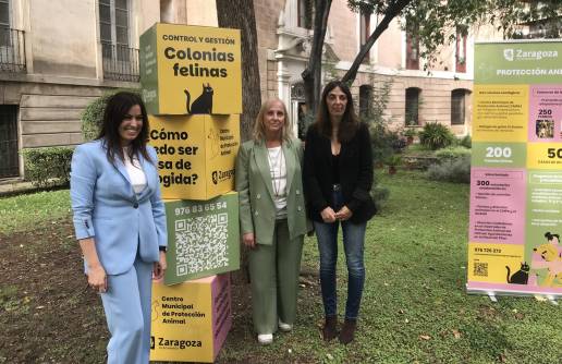 Gaudes pide al Gobierno central que financie la Ley de bienestar animal y no recaiga solo en los ayuntamientos