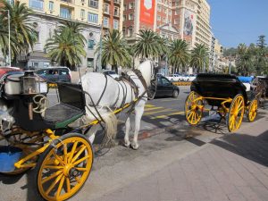 De la Torre, tras fin de coches de caballos: "Avanzamos en ir a línea de ciudad más del siglo XXI que del XIX"