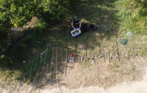 Tres denunciados por pesca irregular de 40 cangrejos azules en Tortosa (Tarragona)