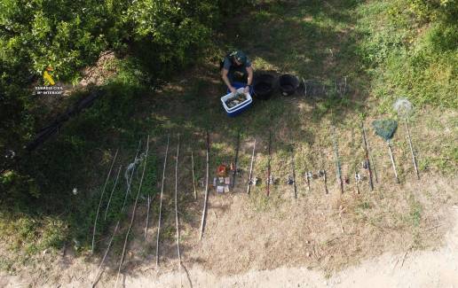 Tres denunciados por pesca irregular de 40 cangrejos azules en Tortosa (Tarragona)