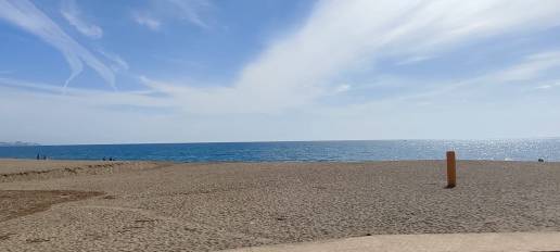 Un pato salvaje localizado en la playa de Benajarafe, primer caso de gripe aviar confirmado en la provincia