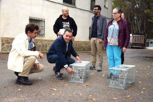 El programa de Control de Colinas Felinas ya llega a 1.300 gatos de 82 municipios conquenses tras 270.000 euros