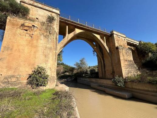 La Junta coloca vallas y señales para la protección del lince Ibérico en carreteras de Sevilla y Córdoba