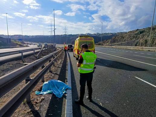  La Policía Canaria investiga el origen de un emú atropellado tras causar un accidente en Gran Canaria
