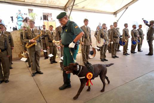 La Guardia Civil de Melilla condecora por primera vez a una perra que ha detectado más de 800 kilos de droga