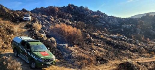 Agentes Forestales reconstruyen nidos de buitre negro afectados por un incendio en el valle del río Duero portugués
