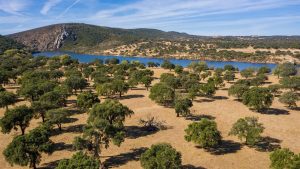 Un foro con expertos, ganaderos y veterinarios analizará alternativas al uso de ivermectina para proteger Monfragüe