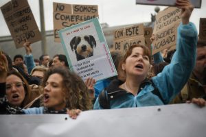 La patronal veterinaria reitera su rechazo a la Ley de Medicamentos Veterinarios y avanza movilizaciones en noviembre