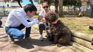 Huércal de Almería cierra el registro del 'ADN Canino' con más de 1.200 perros inscritos