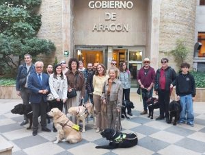 Aragón apuesta por el bienestar de los perros guía: "Cuidar de ellos es cuidar de la libertad de quienes los necesitan"