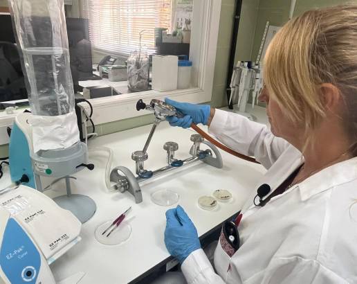 El SCS aboga por el enfoque 'One Health' para proteger la salud humana, animal y ambiental