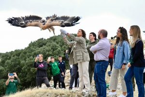 La Junta libera a Jimena, un nuevo ejemplar de águila imperial, en el Parque Natural de Sierra Mágina