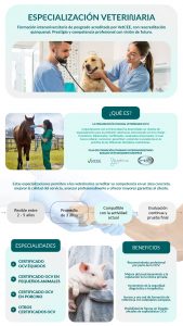 La primera especialización veterinaria acreditada por VetCEE en España será una realidad a comienzos de 2026