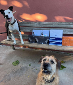 Calier y APAG renuevan su colaboración para ayudar en el cuidado de los animales acogidos por la protectora