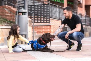 Existe menos de un perro de asistencia por cada 100.000 personas con discapacidad en nuestro país