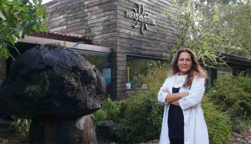 La melena de león de Hifas Da Tierra a la cabeza en la investigación en enfermedades neurodegenerativas