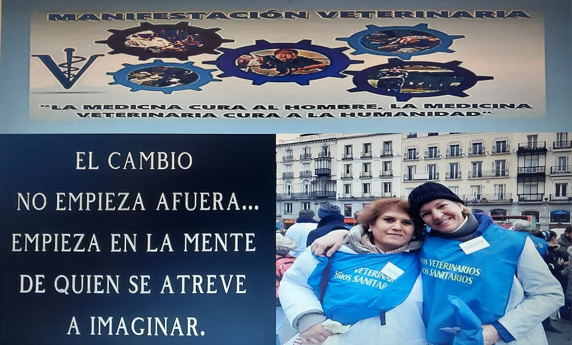 Llamamiento a la Manifestación Veterinaria